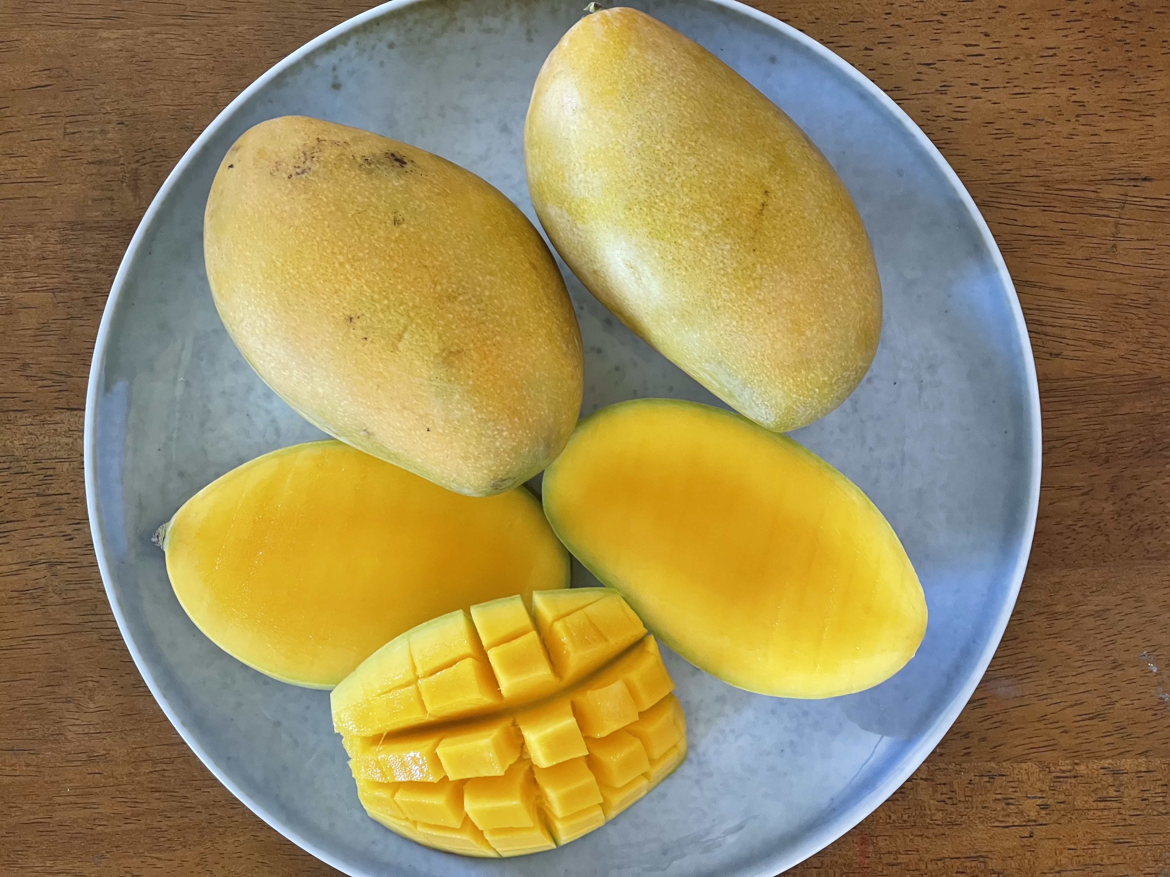 Mango (Naomi oder Kitt)
